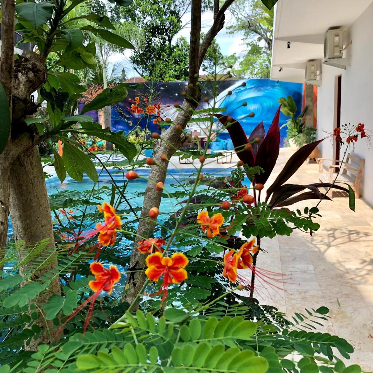 Villa Lotus 8 Чангу Экстерьер фото